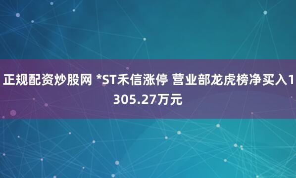 正规配资炒股网 *ST禾信涨停 营业部龙虎榜净买入1305.27万元